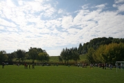 jauerling01