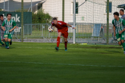 DSCF1328