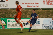 DSCF0186