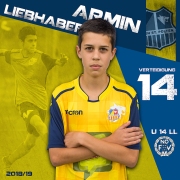 14-Armin