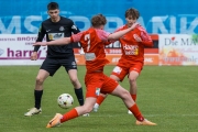 DSCF0974