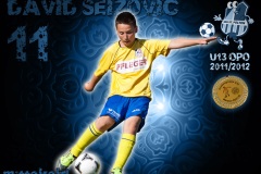 11-david