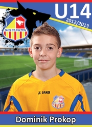 15-DominikP