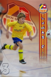 03-luki-w08