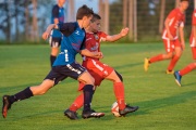 DSC_7424