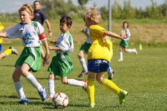 IMG_8936