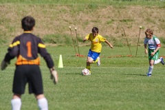 IMG_8944