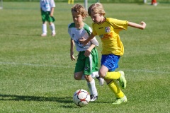 IMG_8957