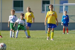 IMG_8990
