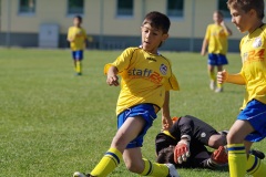 IMG_8996