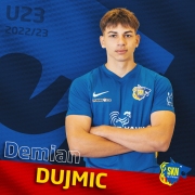 Dujmic