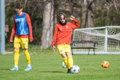 DSC_8528