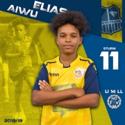 11-Elias