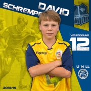 12-David