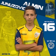 16-Almin