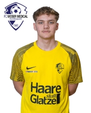 Steindl