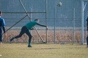 DSCF7617
