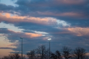 DSCF5652