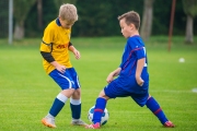 DSC_2370
