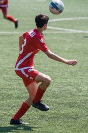 DSC_7598